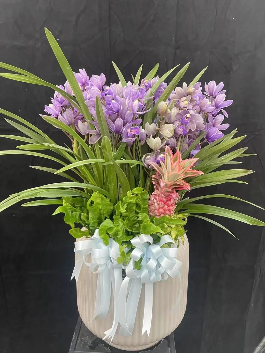 Cymbidium Faberi Seeds