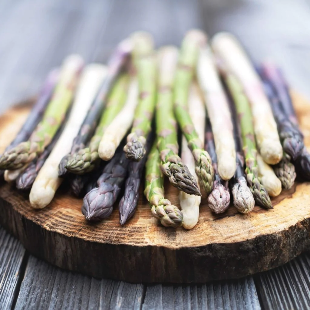 Four Seasons Asparagus Mary Washington Seeds