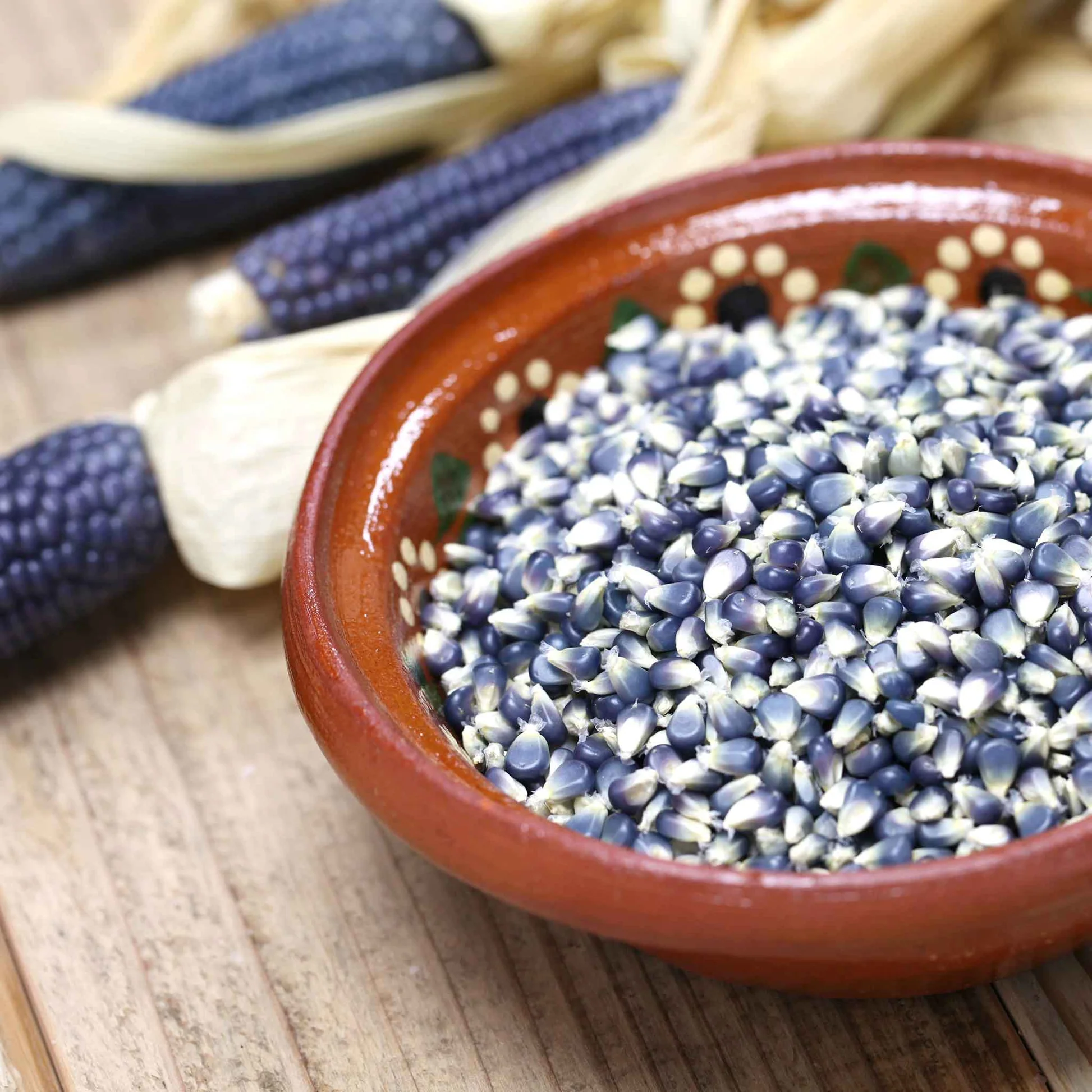 🌽 Blue Hopi Corn Seeds – A Unique Heritage Crop for Your Garden