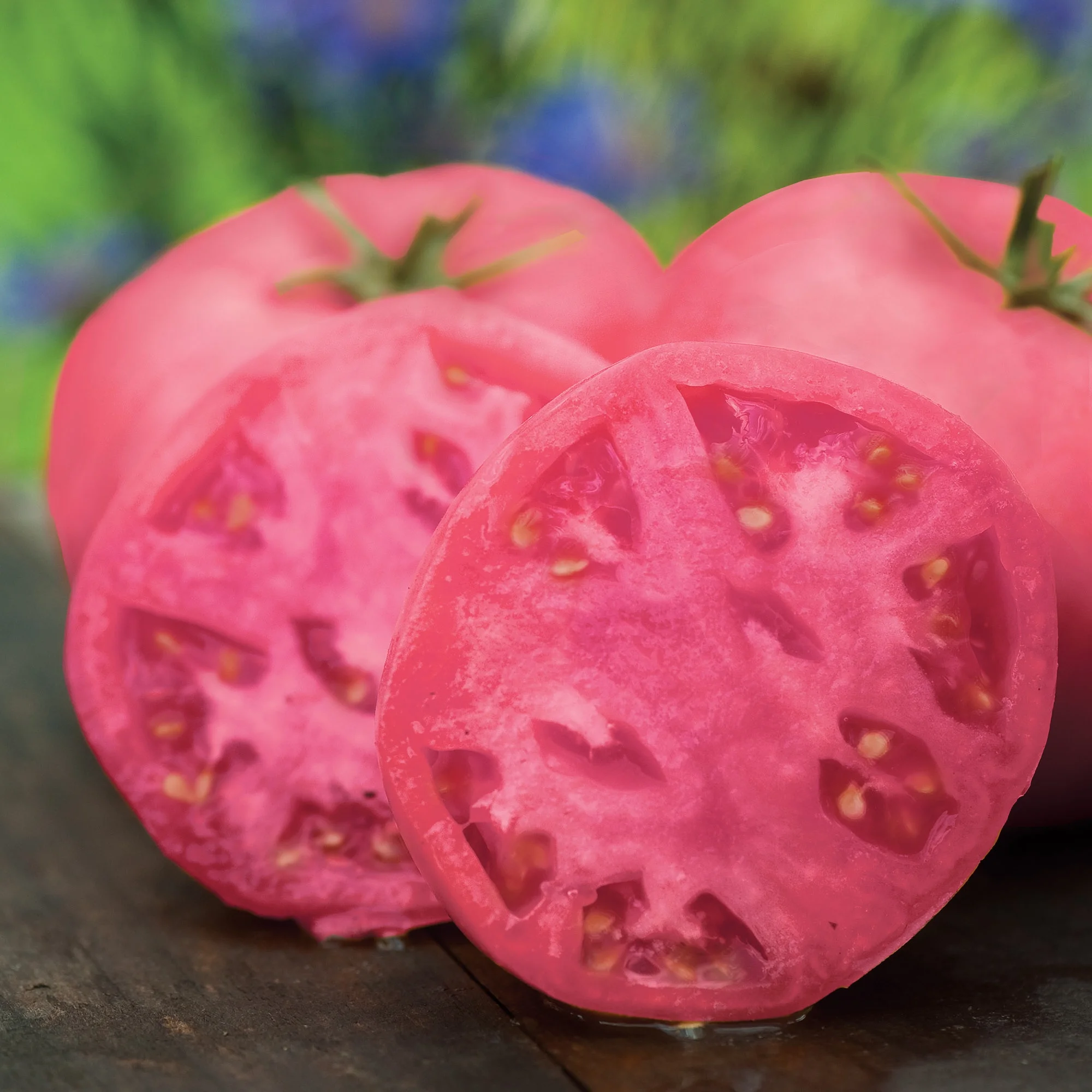 Tomato Brandywine Pink Seeds