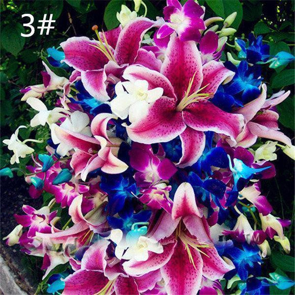 100 PCS Perfume Liliy Seeds Cheap Perfume Lilies Seeds Rare Color Flower Garden Plant