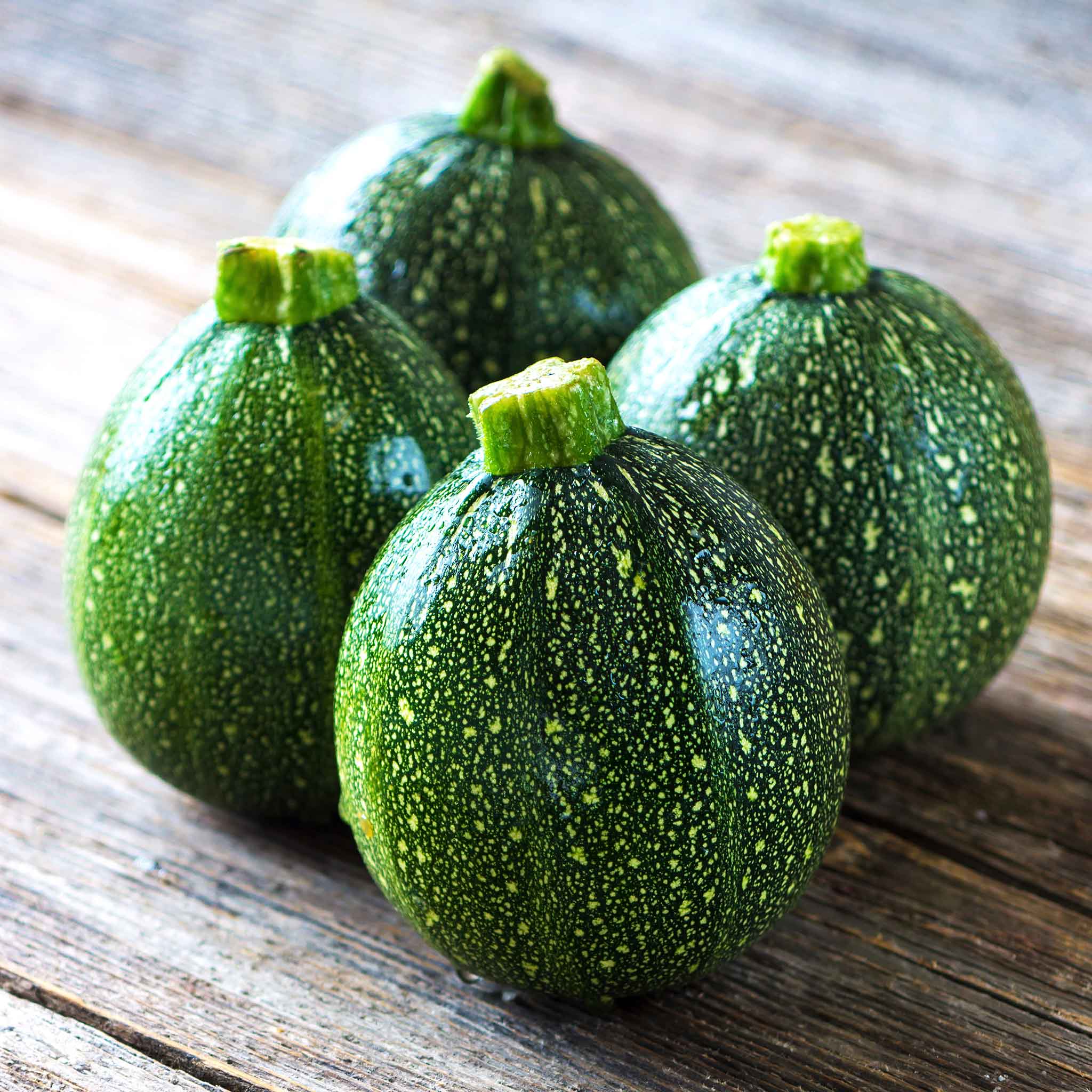 Bulk Squash (Summer) Seeds - Round Zucchini | Bulk Seed Store
