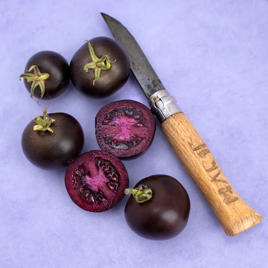 Purple Galaxy Tomato Seeds