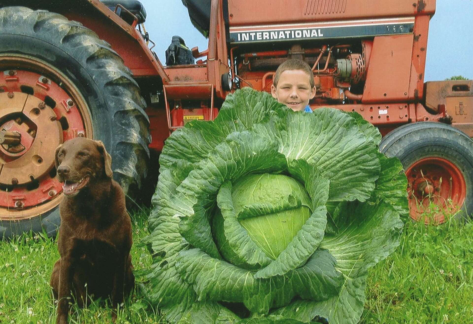 Giant cabbage growing competition introduces kids to gardening and  agriculture