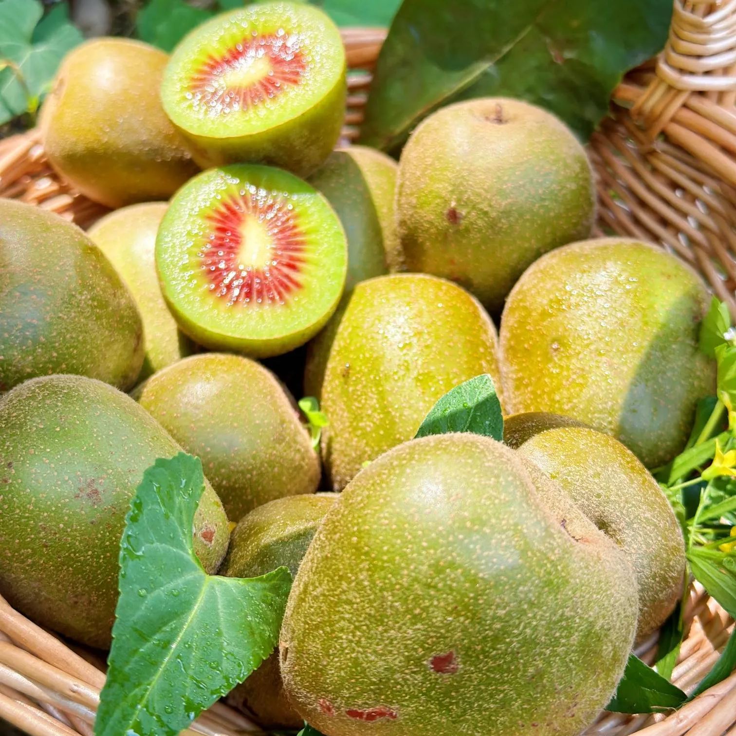 🎆75% off 🥂100 PCS Red Heart Kiwi Seeds
