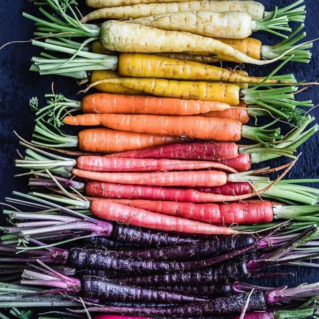 🎆Hot Sale🥂 Colorful Radish Seeds