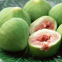 50 Pcs Rare Tropical Fig Plant Mini Tree Bonsai Outdoor Fruit Home Planting Germination