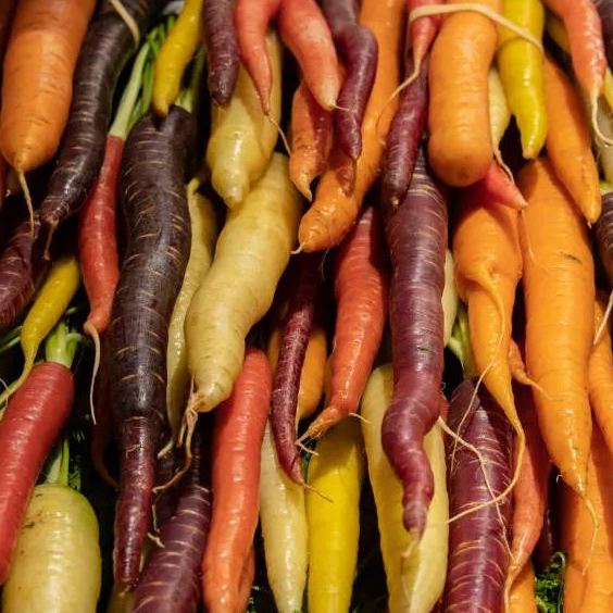 🎆Hot Sale🥂 Colorful Carrot Seeds🥕