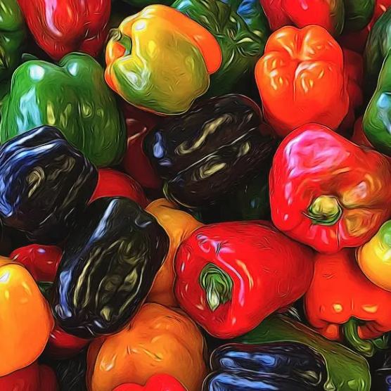 Park Seed Sweet Rainbow Mix Pepper Seeds