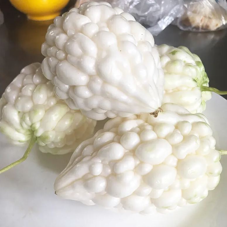 🎆41% off 🥂50 PCS White Jade Bitter Melon Seeds🍠