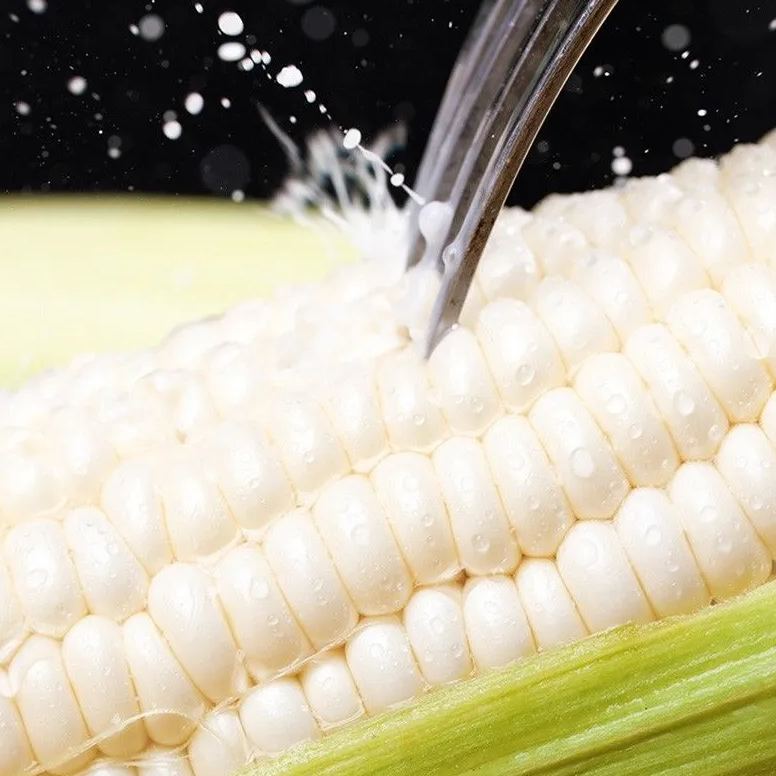 🎆41% off 🥂  milk corn Seeds