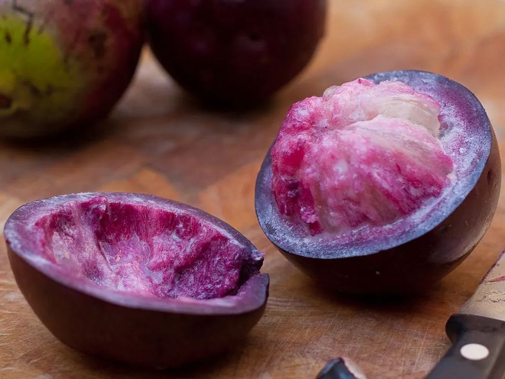 Star Apple - Chrysophyllum cainito - Rare Fruit Species