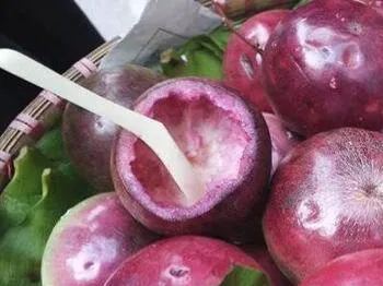 Star Apple - Chrysophyllum cainito - Rare Fruit Species