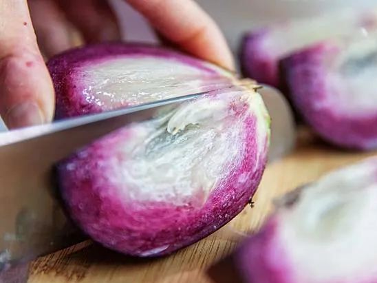 Star Apple - Chrysophyllum cainito - Rare Fruit Species