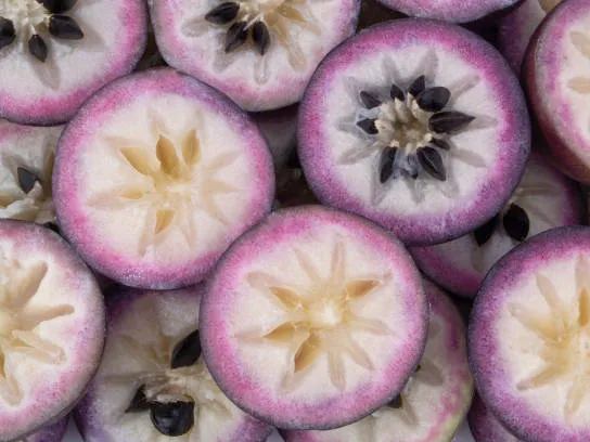 Star Apple - Chrysophyllum cainito - Rare Fruit Species