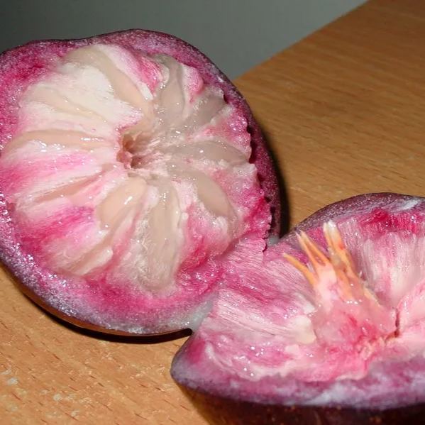 Milk Fruit (Star Apple)