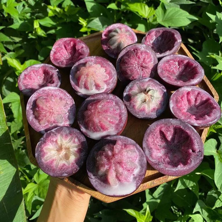 Milk Fruit (Star Apple)