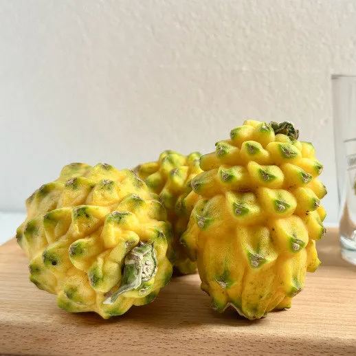 🎁59% OFF🥳Ecuador Rare Yellow Bird's Nest Fruit Seeds🦜