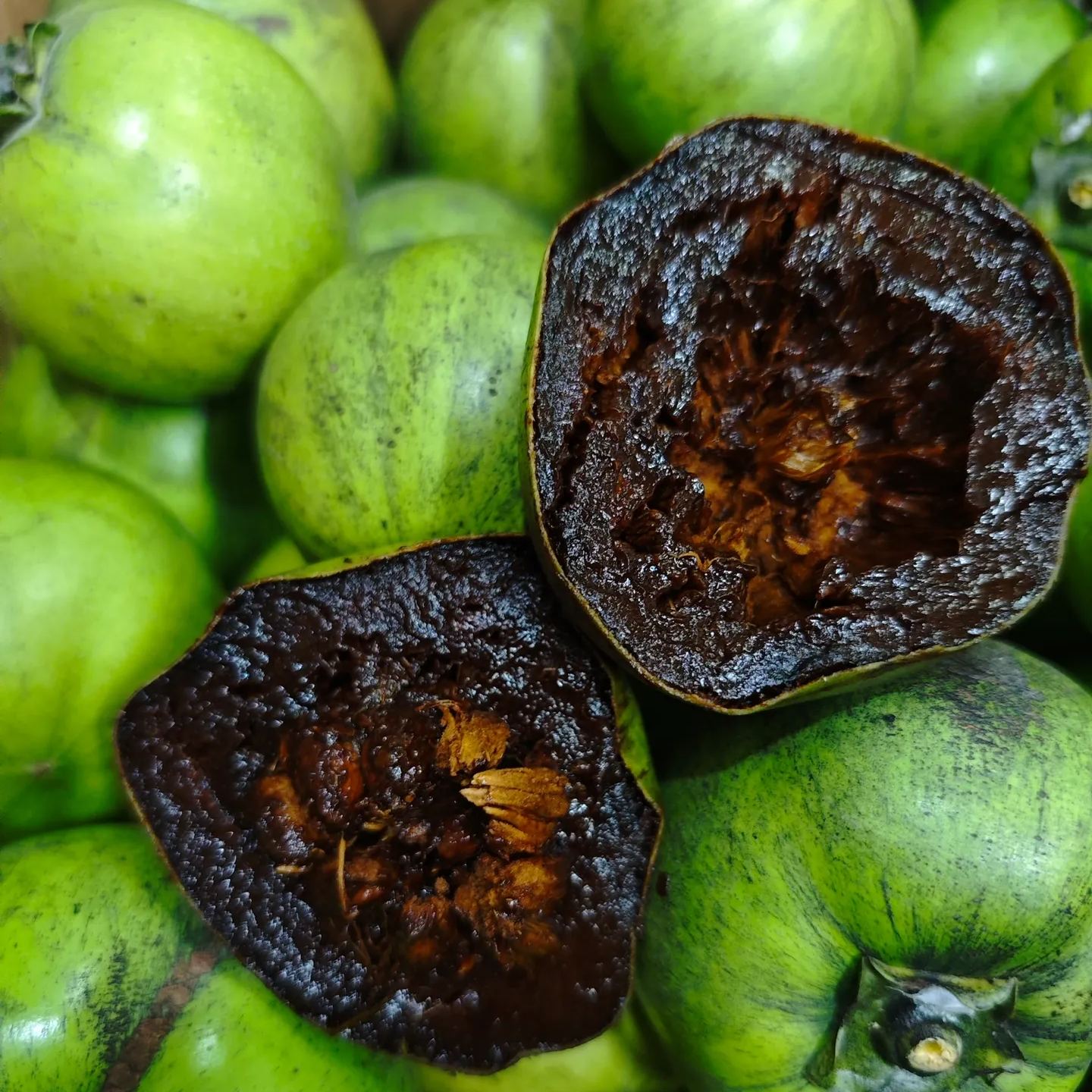 Diosyros nigra seeds🍫