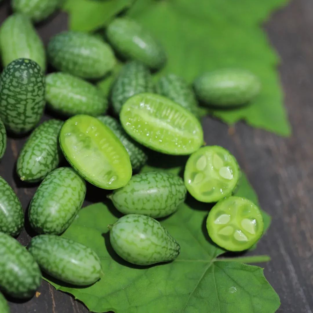 🌞🍉 The Lying Thumb Watermelon – Mini Cucumber Seeds🥒