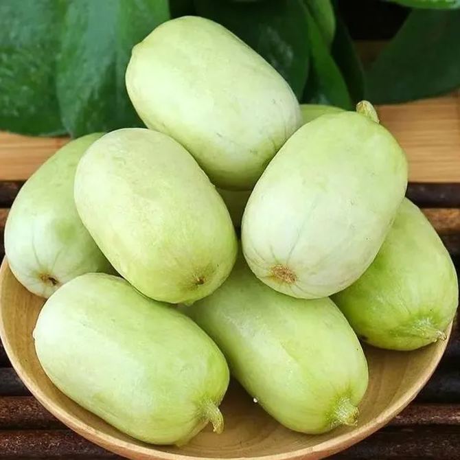 💥New for Spring 🥒Thumb Cucumber Seeds