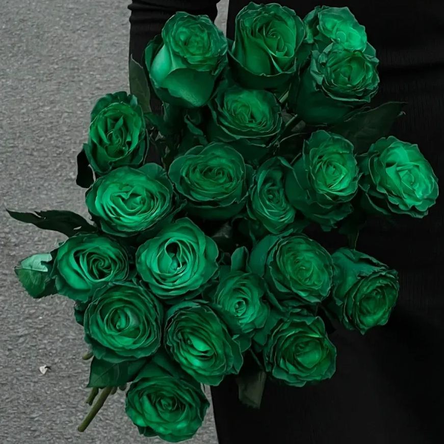 🔥New spring products🌈Rainbow multi-color roses seeds🌹