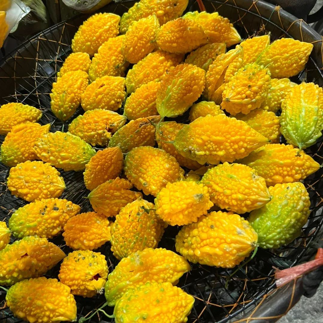 ✨😋Sweet Golden Bitter Melon Seeds