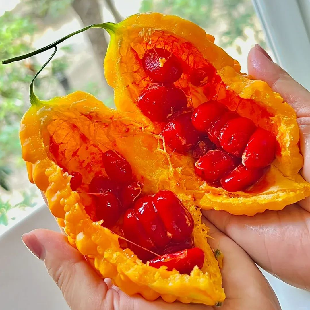 ✨😋Sweet Golden Bitter Melon Seeds
