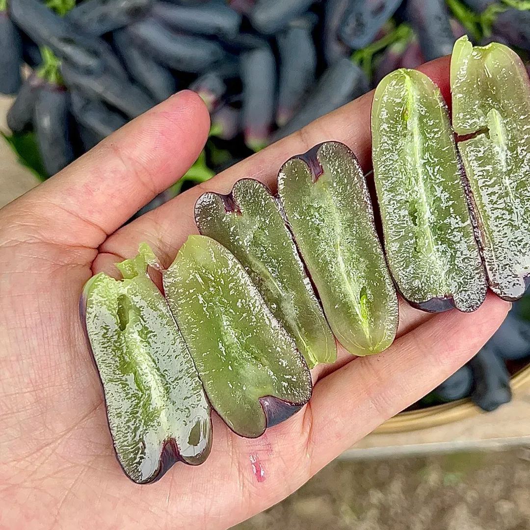 🍇Sapphire Grapes Seeds