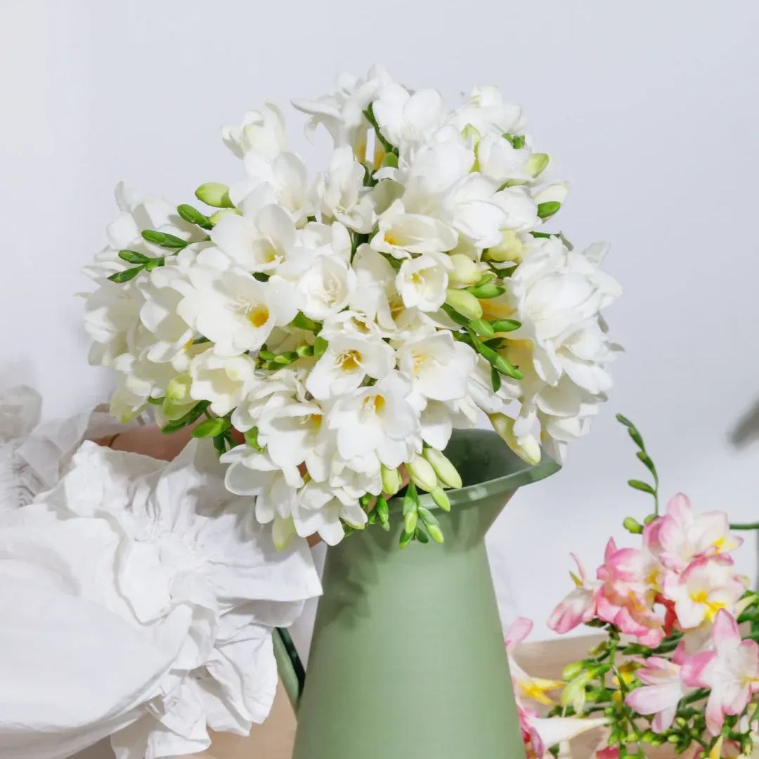 💐 Brighten Your Garden💖 Freesia Bulbs