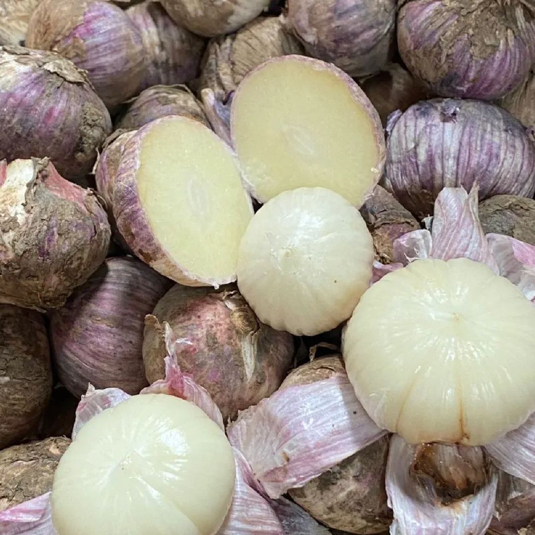 🧄Single Clove Garlic: Bold Flavor, Healthy Choice!