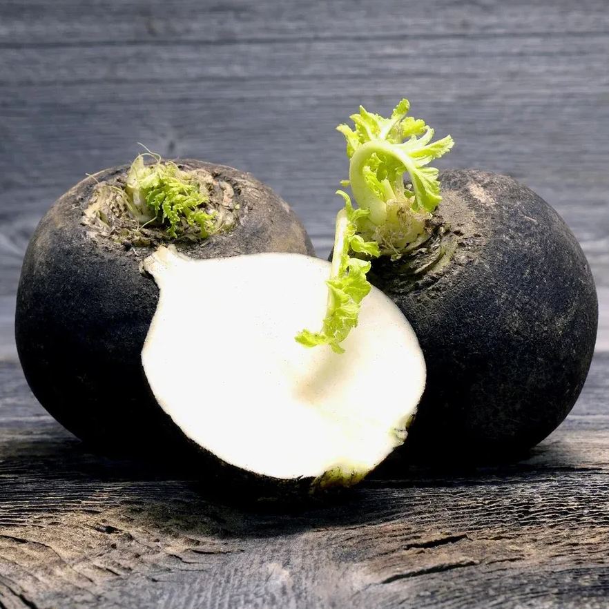 🥗 Black Spanish Radish Seeds