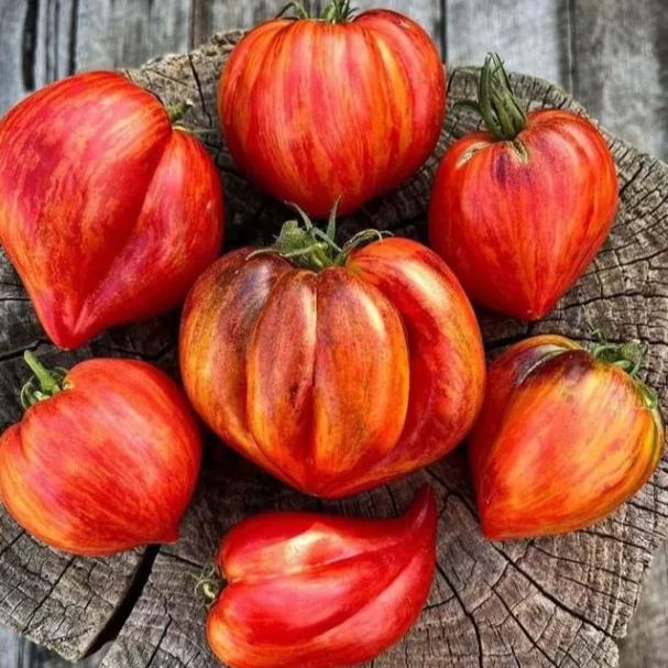🍅❤️Crushed Heart Tomato Seeds