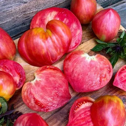 🍅❤️Crushed Heart Tomato Seeds - Flavor & Beauty 