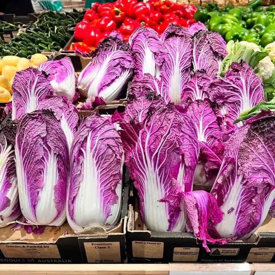 🥬 Purple Napa Cabbage Seeds – Bold Color, Fresh Flavor!