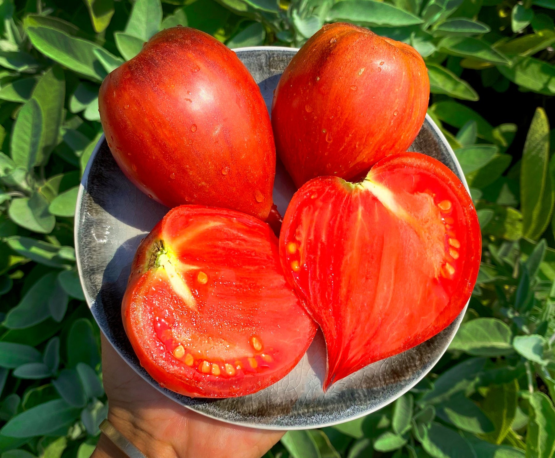 HERZTOMATE CRUSHED HEART – mrs.tillyseeds