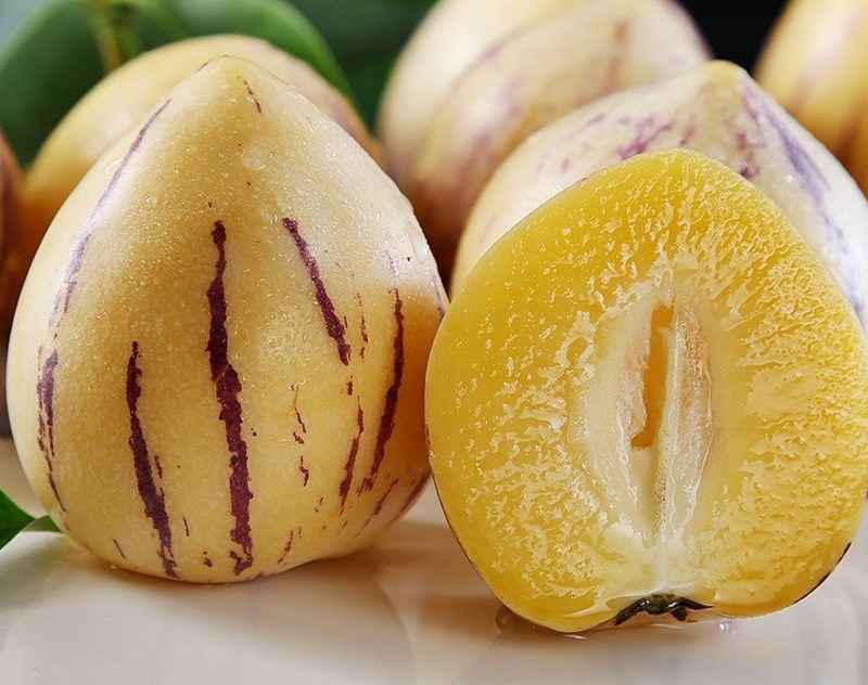 Biji Benih Buah-Buah an - Ginseng/Fruit Seeds - Ginseng/水果种子-黄金肉清香甜人参果 |  Shopee Malaysia