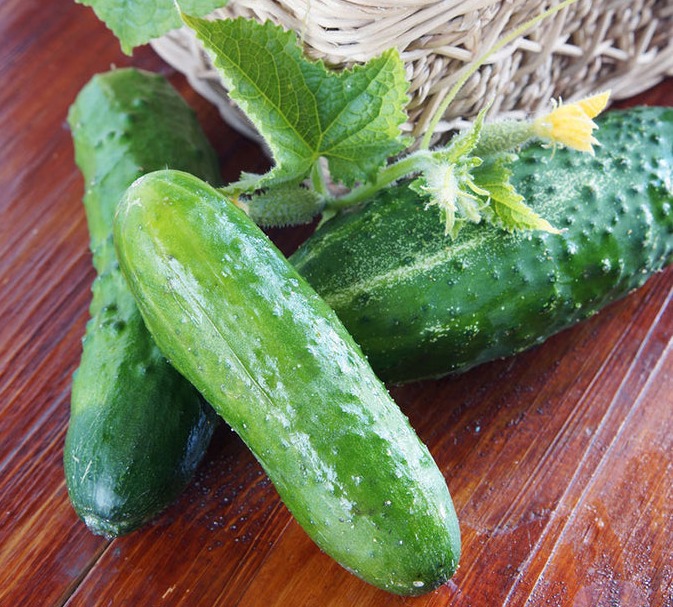 Cucumber Seeds - Marketmore 76 | Vegetable Seeds in Packets & Bulk | Eden  Brothers