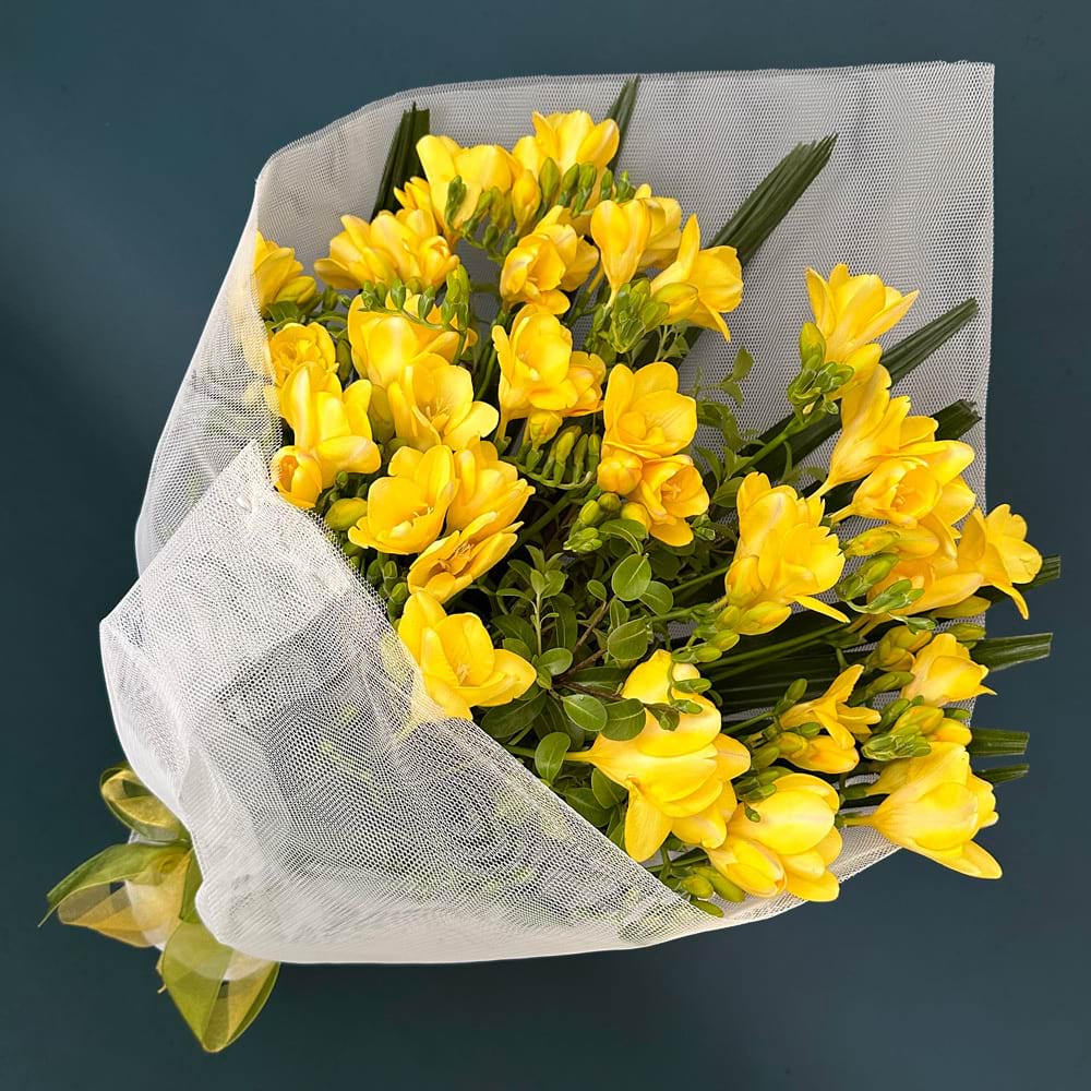 💐 Brighten Your Garden💖 Freesia Bulbs