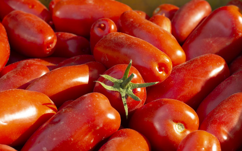 Certified San Marzano Tomatoes