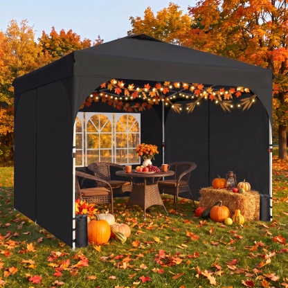 SANOPY 10'x10' Canopy Tent for Party Tent with One Push Central Button&Air Vent Instant Pop Up Canopy Tent with Sidewalls&Sandbags Ez Up Pop up Party Canopy Tent with Carry Bag, Black