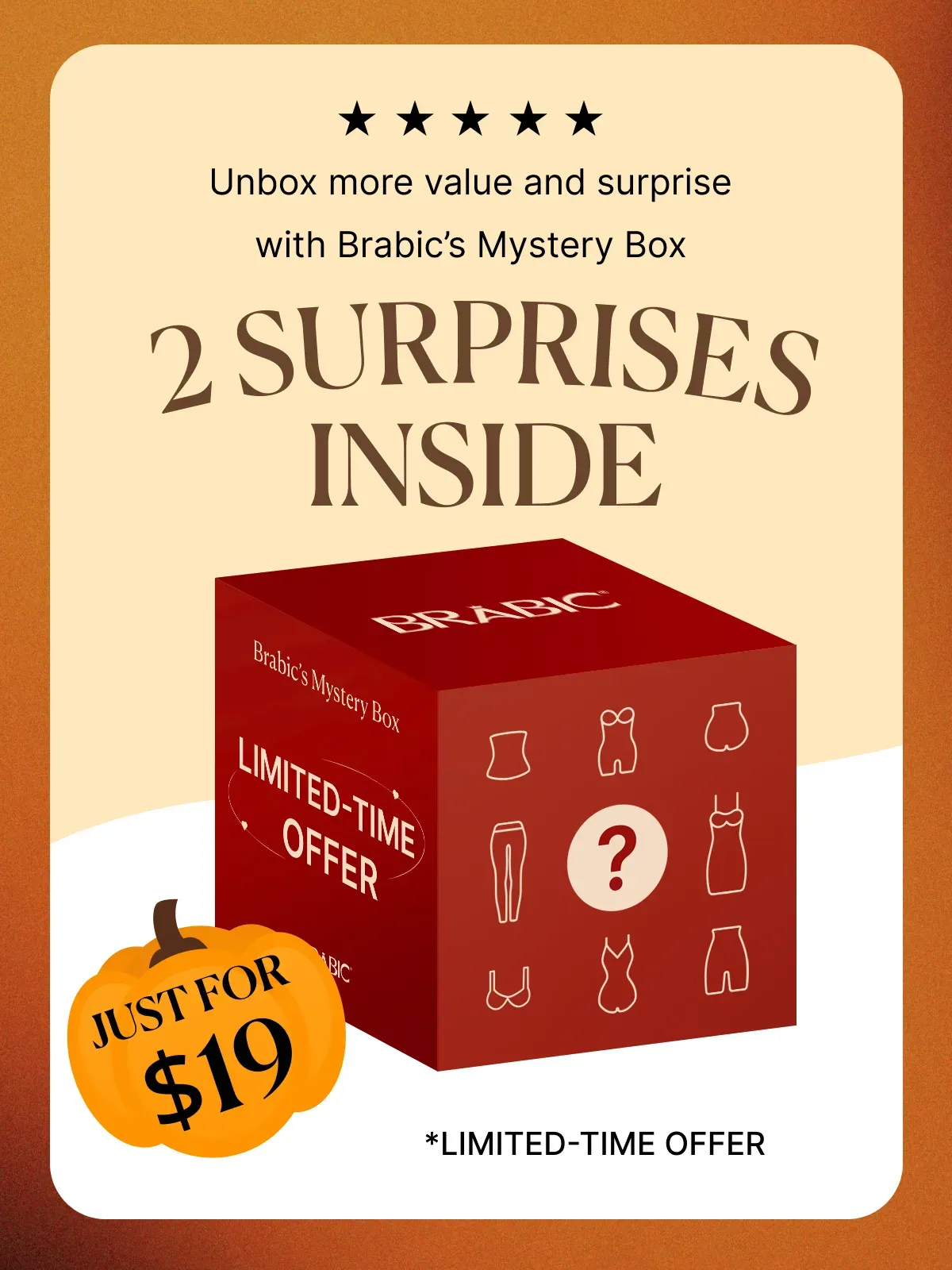 Mystery Box – Just $19 for 2 Surprise Products!