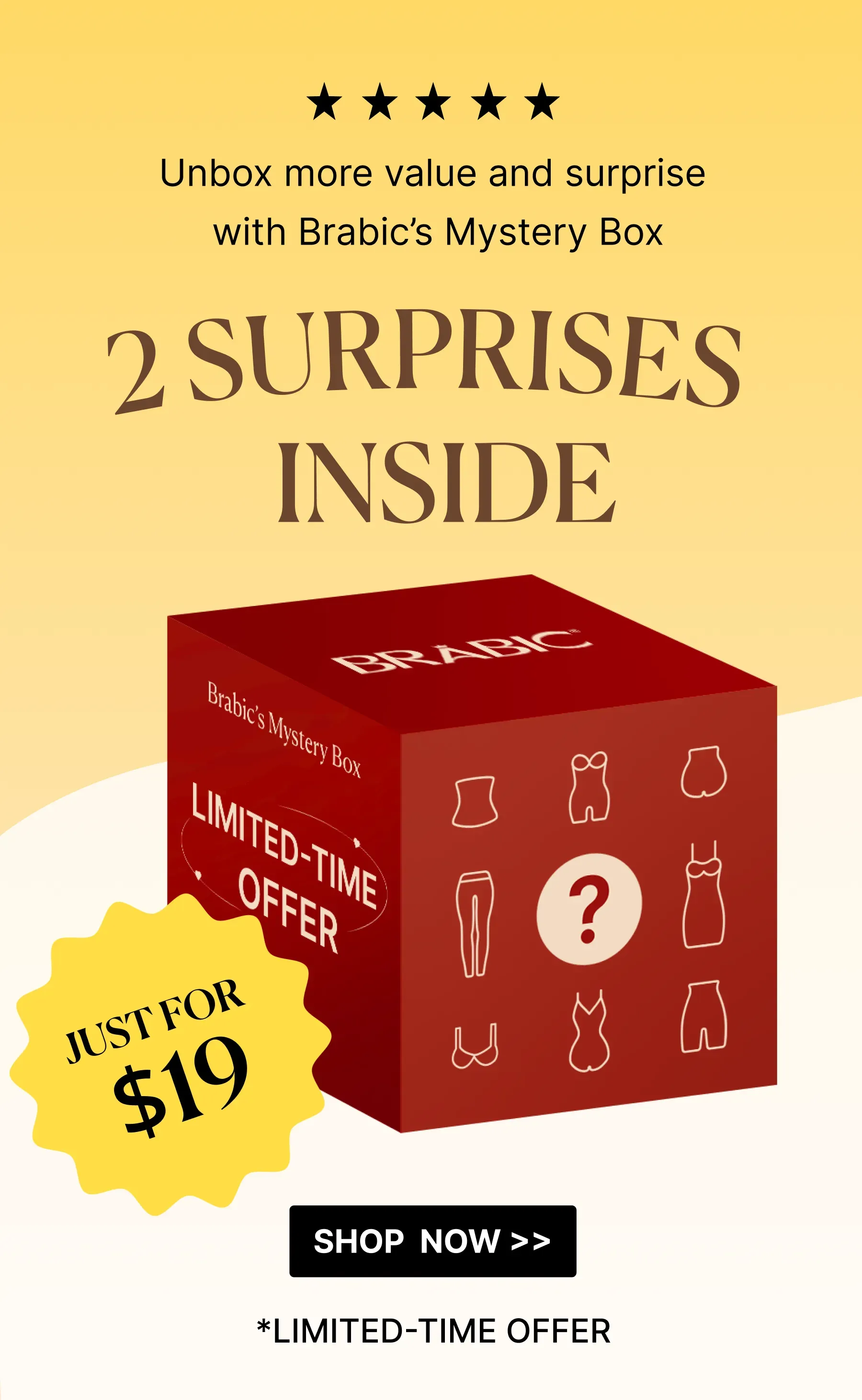 Mystery Box – Just $19 for 2 Surprise Products!