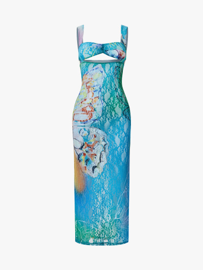 Sheer Butterfly Print Cutout Tube Maxi Dress