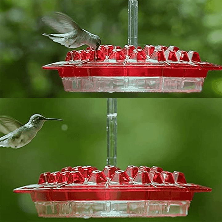 Mary's Sweety Hummingbird Feeder With Perch Water Feeder