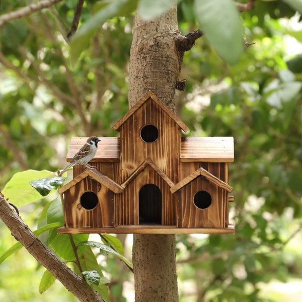 6-Holes Handmade Bird House