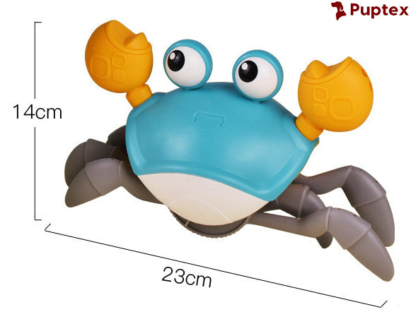 Crab Dimensions