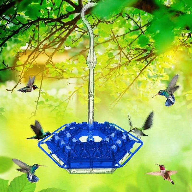 Mary's Sweety Hummingbird Feeder With Perch Water Feeder