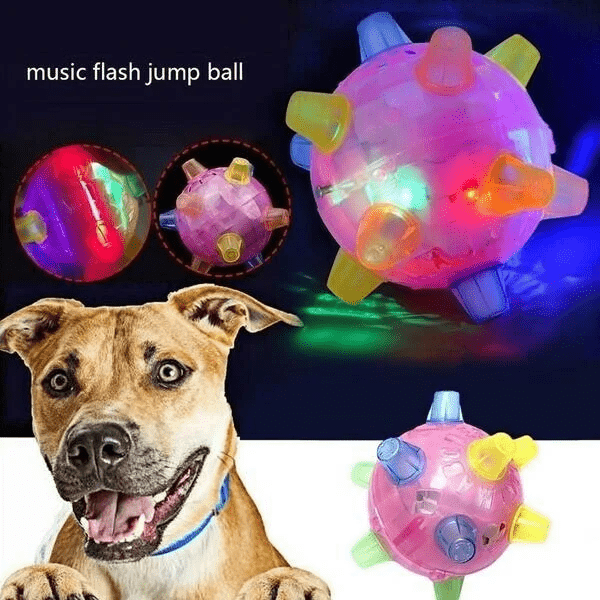 New Jumping Activation Ball For Dogs