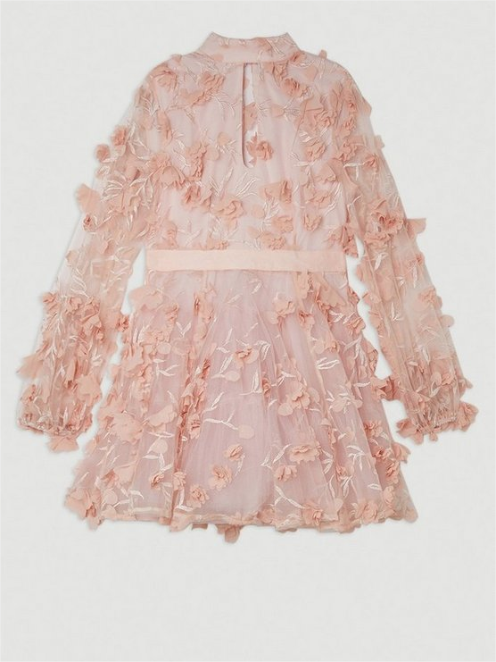 Floral Applique Woven Mini Dress